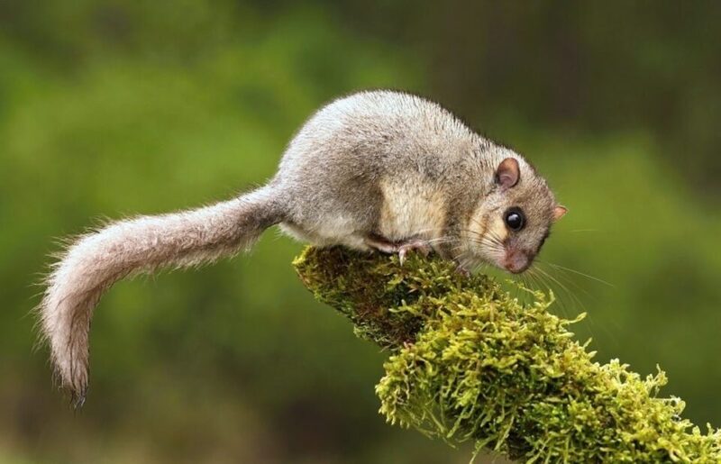 2024120216215237.jpg 2.jpg