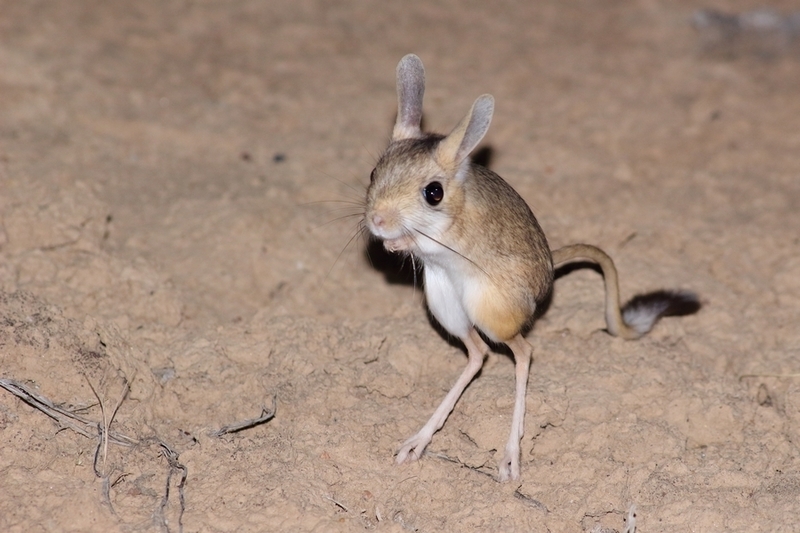 2024120216982707.jpeg 3.jpeg