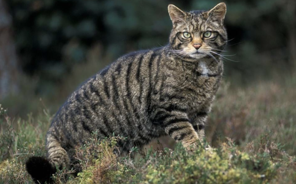 2024120219042351.png 6.png