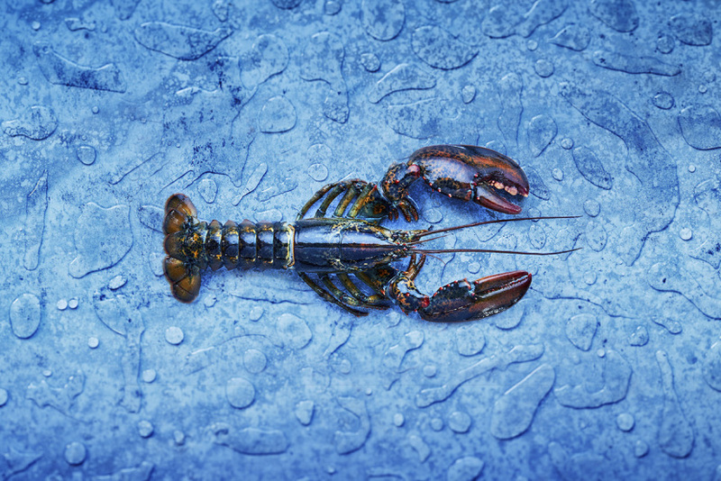 2024120219255591.jpg 10.jpg