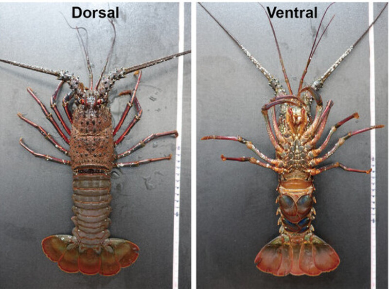 2024120220046269.jpg 55.jpg