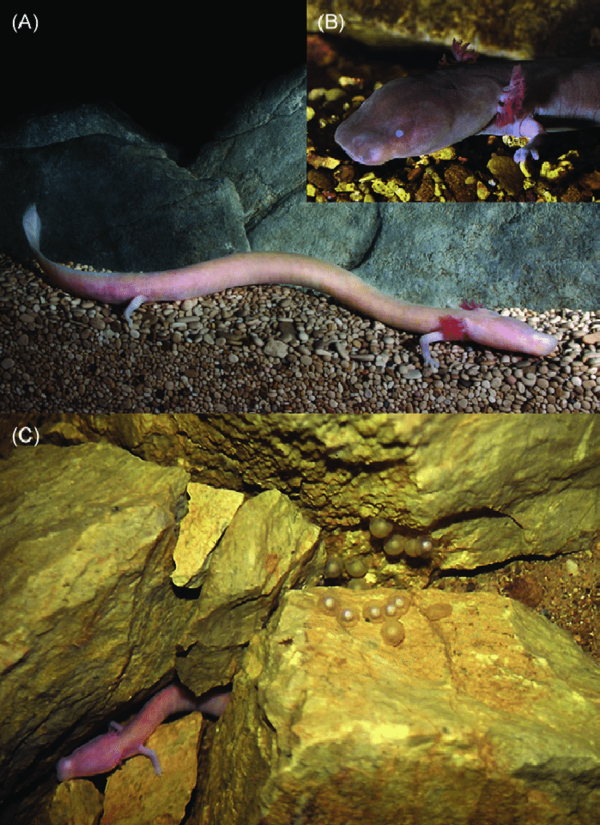 2024120220877099.png 3.png