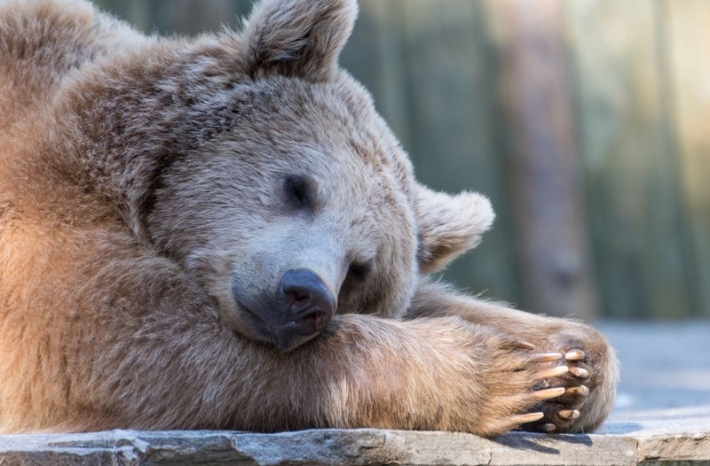 2024120225581603.jpg 112.jpg