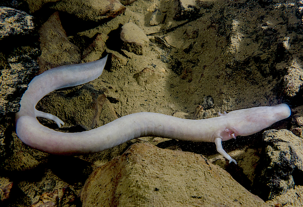 2024120228912143.jpg 4.jpg