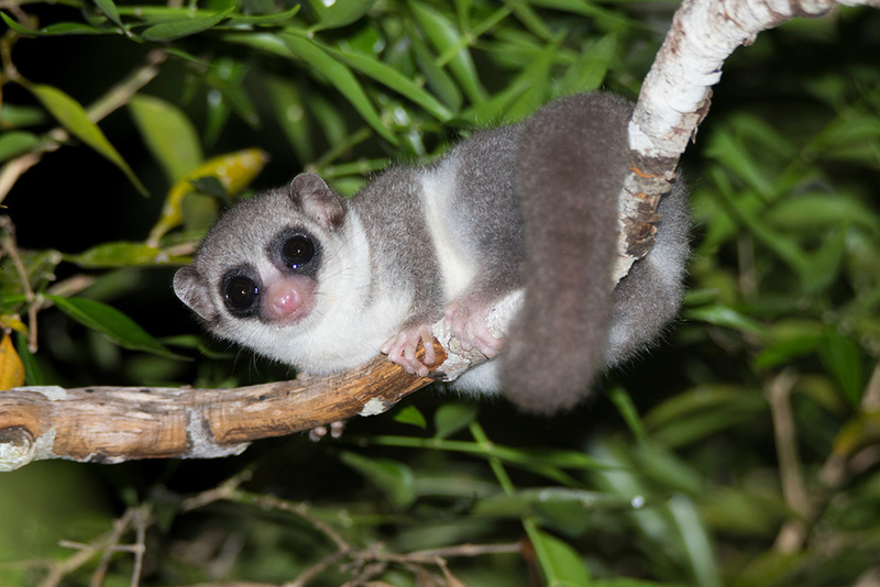 2024120235045313.jpg 6.jpg