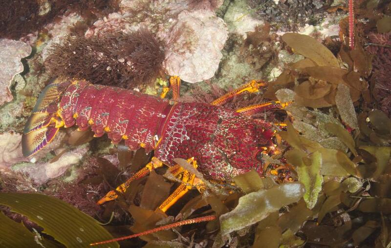 2024120236662217.jpg 4.jpg