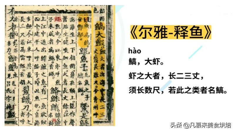 2024120247735310.jpeg 111.jpeg