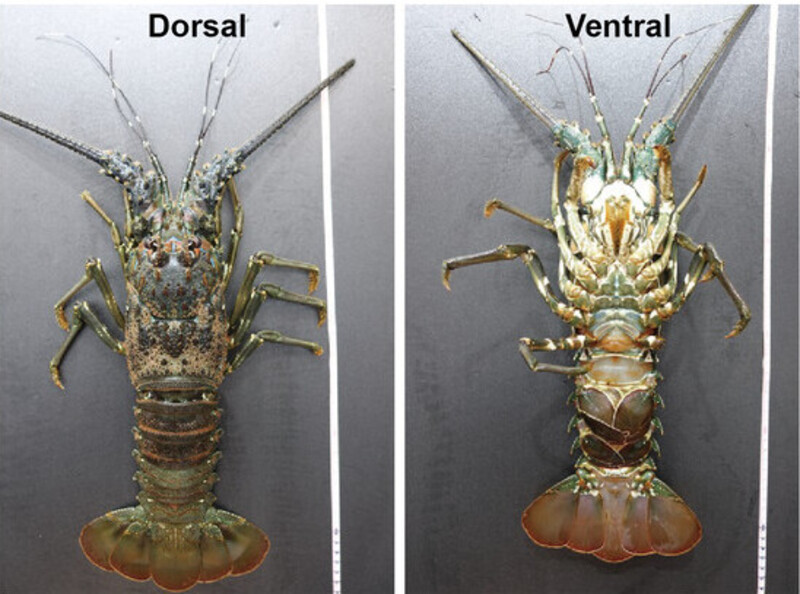 2024120248776626.jpg 22.jpg