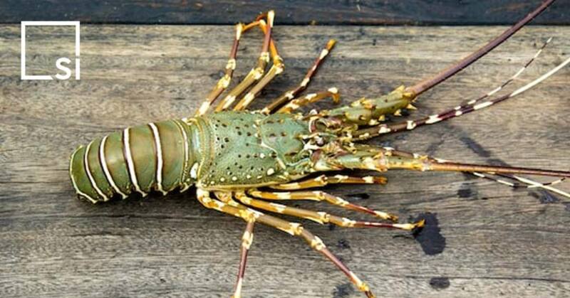 2024120254681113.jpg 8.jpg