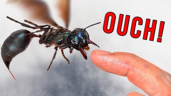 2024120261628402.jpg 4.1.jpg