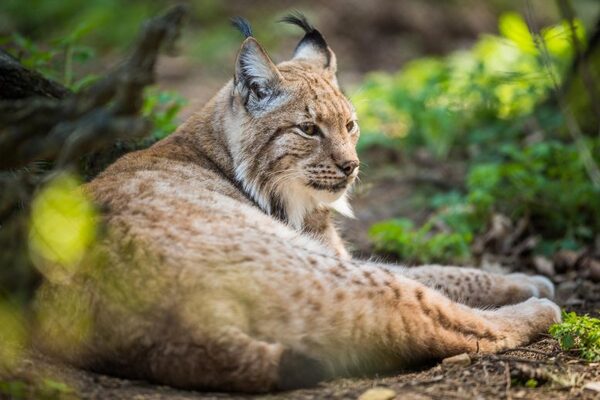 2024120264099219.jpg 3.jpg