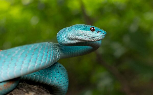 2024120273035610.jpg 6.jpg