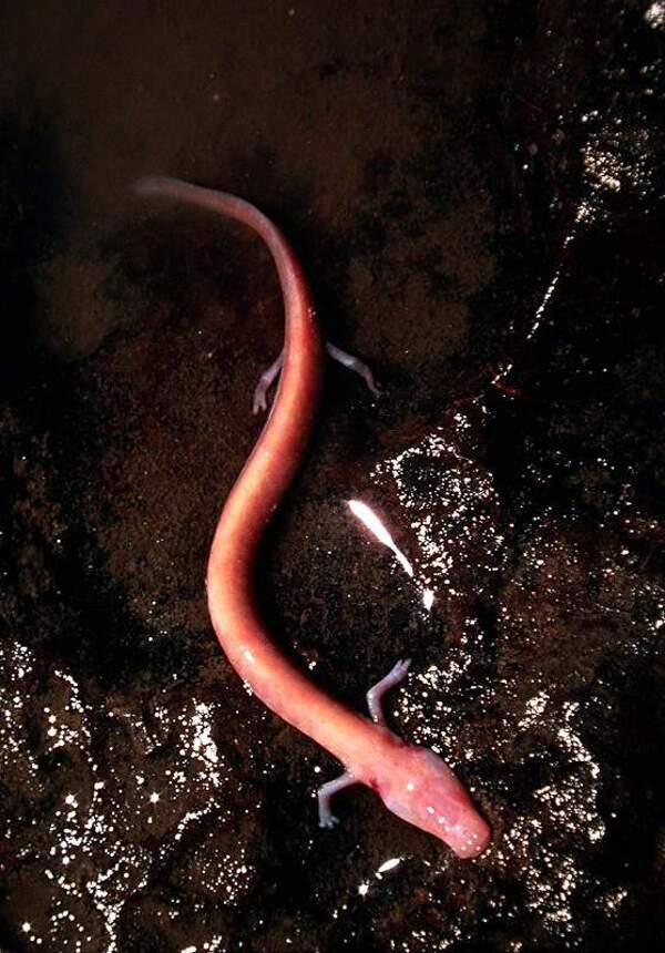 2024120273041867.jpg 2.jpg