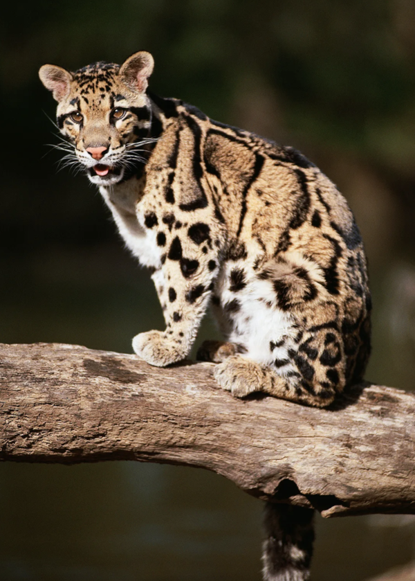 2024120282434477.png 9.1.png