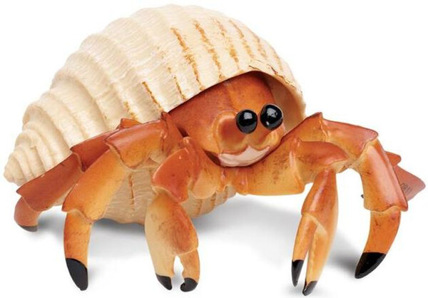 2024120916275899.jpg 10.jpg