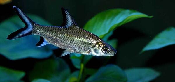 2024120922483442.jpg 10.jpg