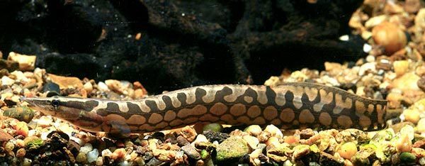 2024120971807499.jpg 8.1.jpg