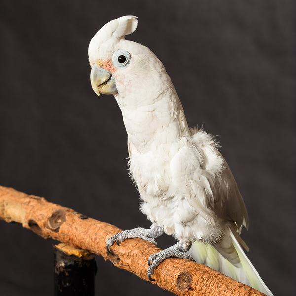 2024121048854191.jpg 4.jpg