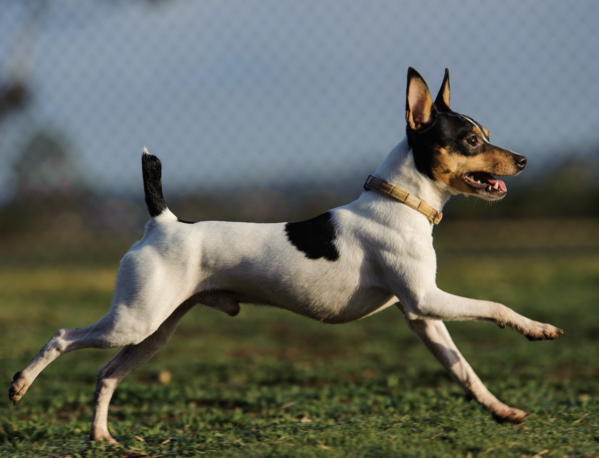 2024121310970198.png 11 (1).png