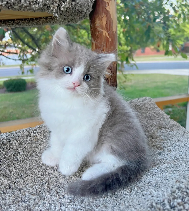 2024121312442250.jpg 99.jpg