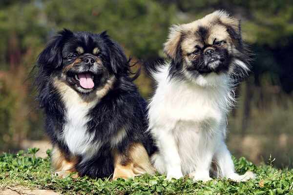 2024121312763097.jpg 12.2.jpg