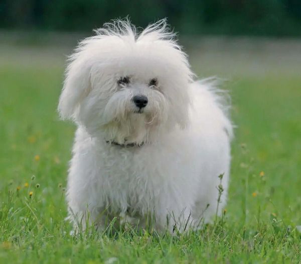 2024121312902261.jpg 15.jpg