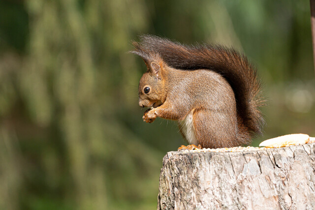 2024121313920745.jpg 3.jpg