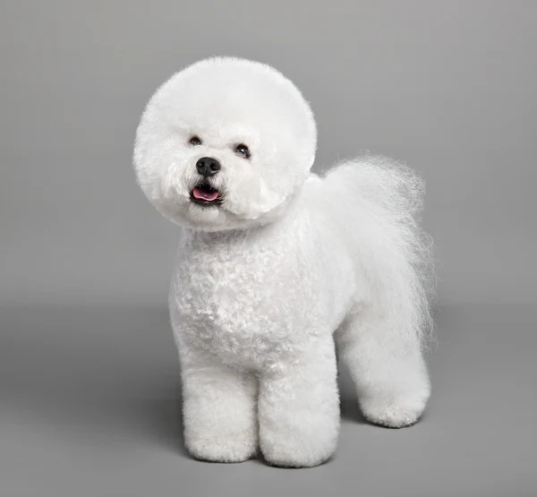 2024121352983205.webp 14.webp