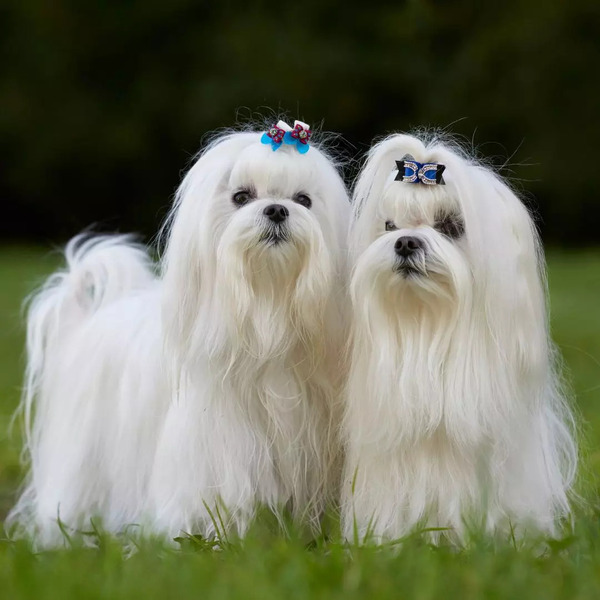 2024121387800405.jpg 3.jpg