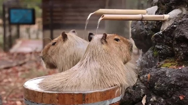 2024121648252882.jpg med_1685177387_image.jpg