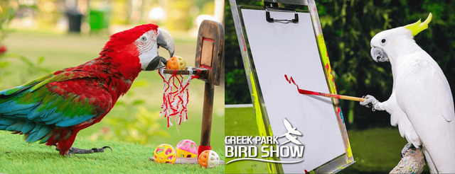 2024123013973490.jpg 88.jpg