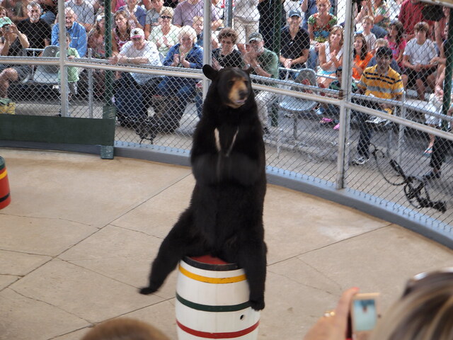 2024123015475417.jpg 7.jpg