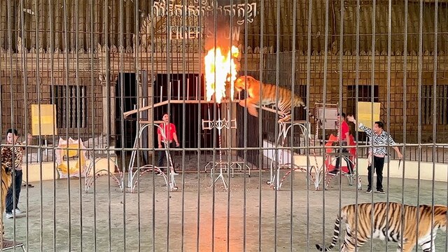 2024123015663671.jpg 22.jpg