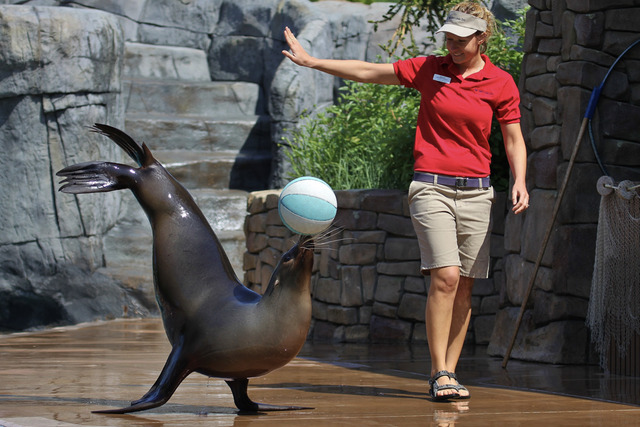 2024123016893802.jpg 6.jpg