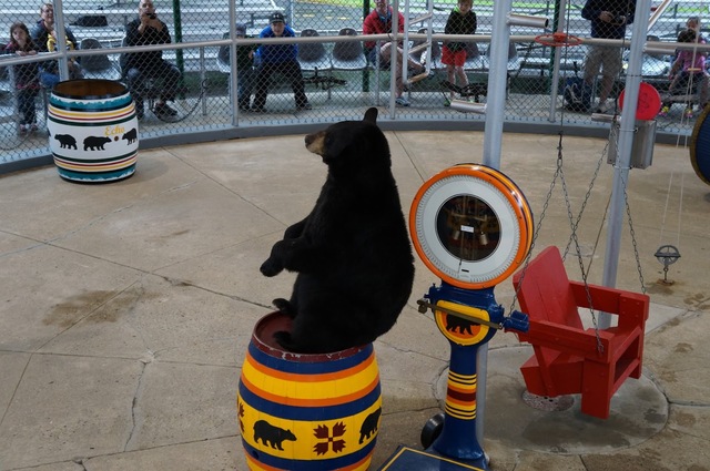 2024123029215555.jpg 77.jpg