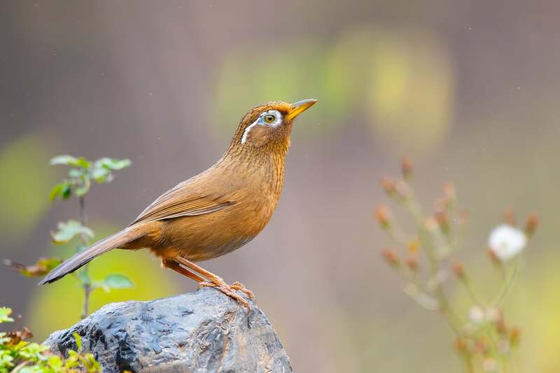 2025010211928511.jpg 33.jpg