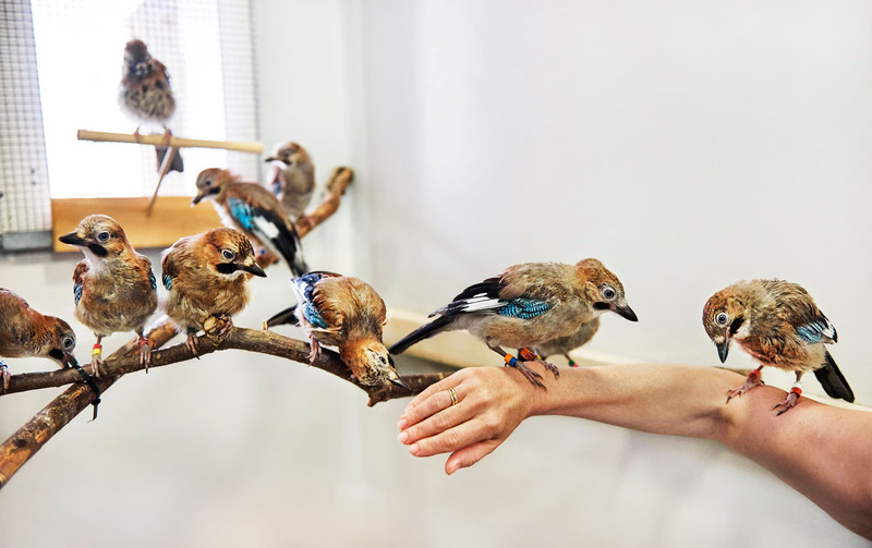 2025010212750238.jpg 66.jpg