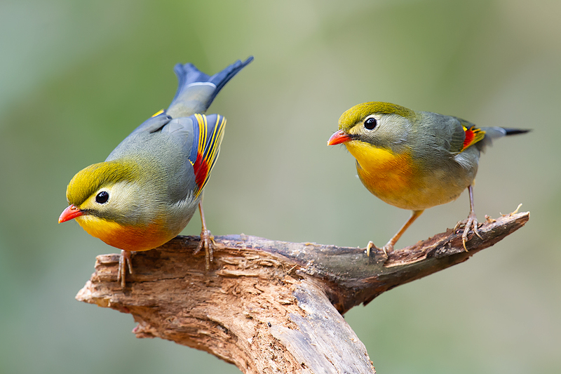 2025010212873851.jpg 99.jpg