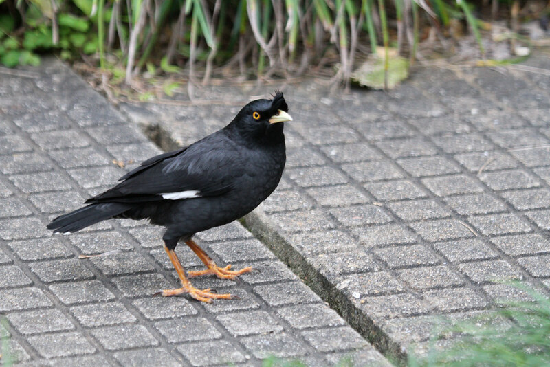 2025010273039041.jpg 11.jpg