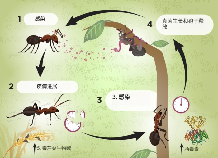 2025010293076115.png WX20250102-1229592x.png