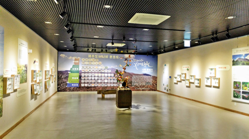 2025010710607555.jpg 33.jpg