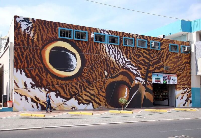 2025010712617794.jpg 1255.jpg