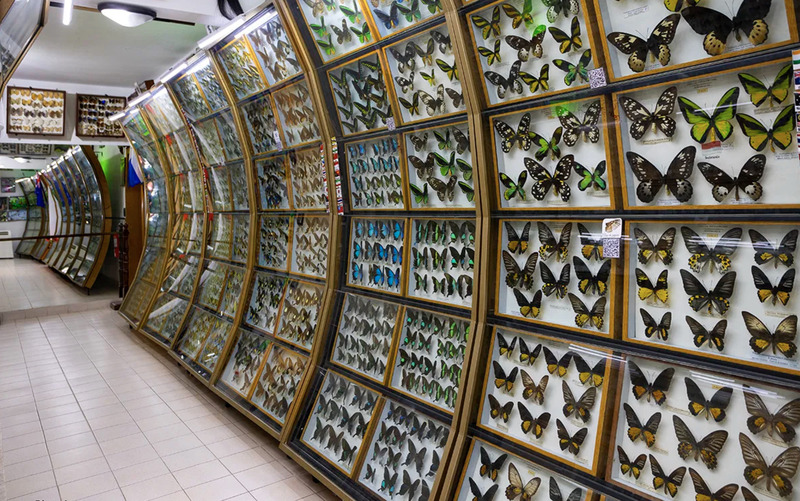 2025010713464777.jpg 1.jpg