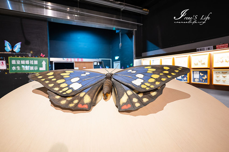 2025010716095830.jpg 99.jpg