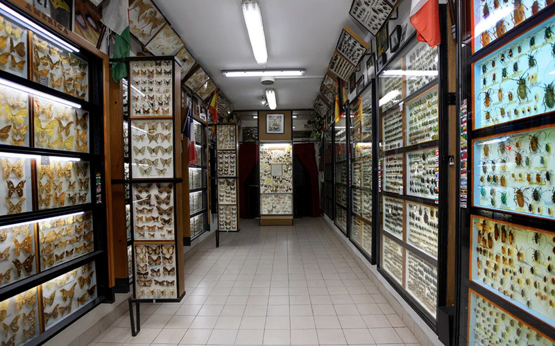 2025010716206805.jpg 11.jpg