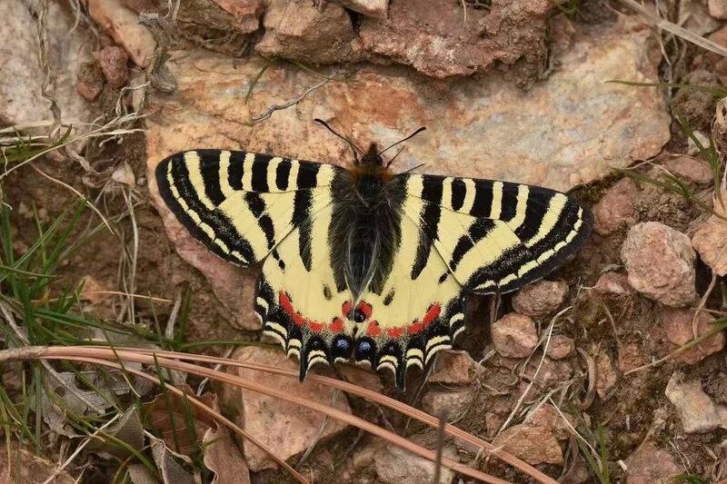 2025010717135302.jpg 10.jpg