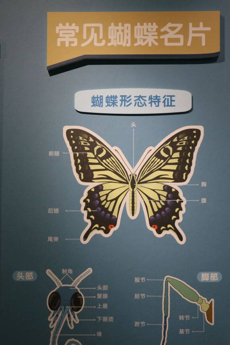 2025010717192886.jpg 66.jpg