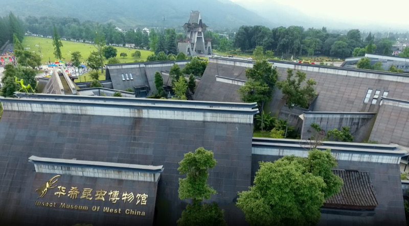 2025010720510785.jpg 2.jpg