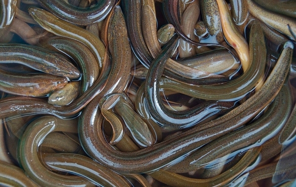 21656d93d99a4fcd95f863d8879dd855 (1).jpeg