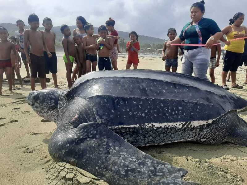 2025011016414594.jpg 1.jpg